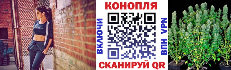 Наркотические вещества Правдинск Амфетамин  Каннабис  Alpha-PVP  Мефедрон  ГАШ 