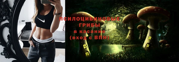 дурь Богородск